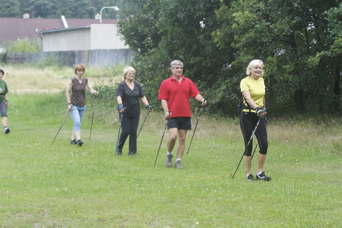 Skupina lidí při nácviku severské chůze na louce u Třebestovic